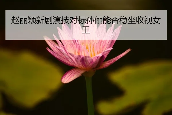 赵丽颖新剧演技对标孙俪能否稳坐收视女王
